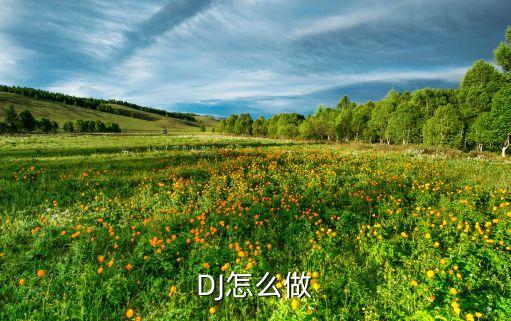 快手制作那些dj怎么做的，怎么制作DJ歌曲...